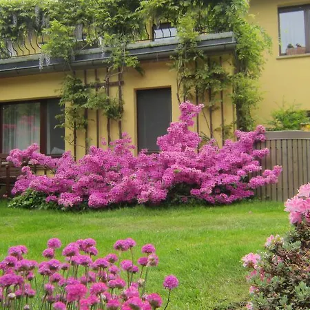 Lejlighed Rico Eglin